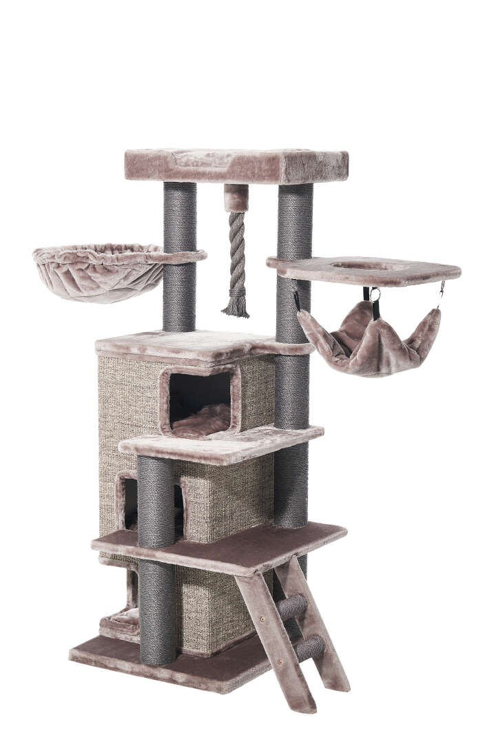 Nobby Kratzbaum Raya